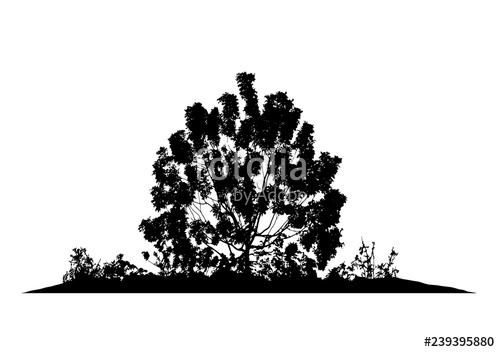 Realistic Silhouette Of A Bush With Leaves 500x352 Realistic Silhouette Of A Bush With Leaves