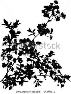 Rose Bush Silhouette 236x310 Rose Bush Silhouette