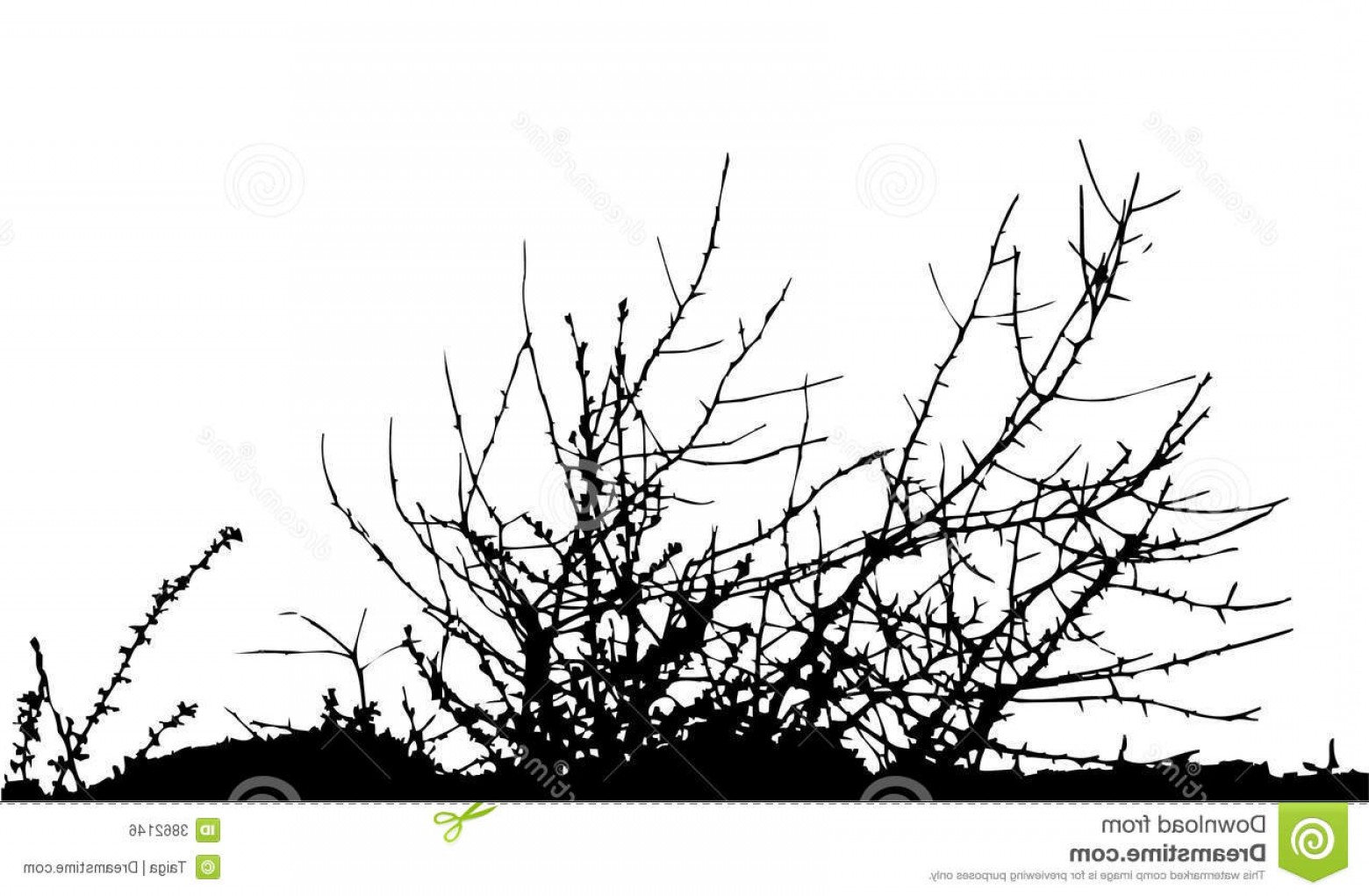 Royalty Free Stock Image Bush Silhouette Vector Image Hoodamathrun 1560x1021 Royalty Free Stock Image Bush Silhouette Vector Image Hoodamathrun