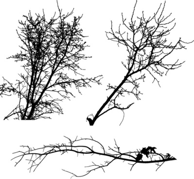 Shrub Free Vector Download 399x368 Shrub Free Vector Download