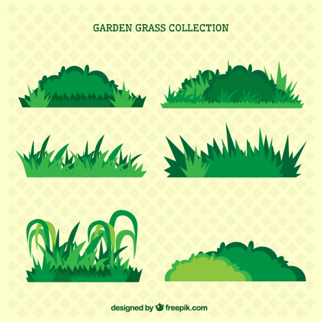 Shrubs Vectors, Photos And Free Download 626x626 Shrubs Vectors, Photos And Free Download