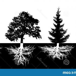 Silhouette Tree Vector Set White Background Isolated Black Forest 300x300 Silhouette Tree Vector Set White Background Isolated Black Forest