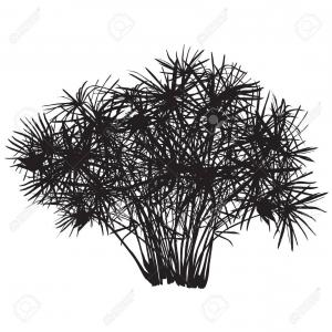 Silhouette Trees Bushes Forest Ecology Design Vector Catchsplace 300x300 Silhouette Trees Bushes Forest Ecology Design Vector Catchsplace