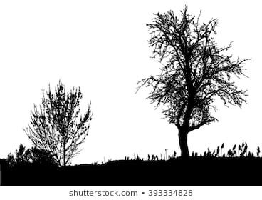 Silhouette Of Tree, Bush With Bare Branches Winter Scenery Trees 368x280 Silhouette Of Tree, Bush With Bare Branches Winter Scenery Trees