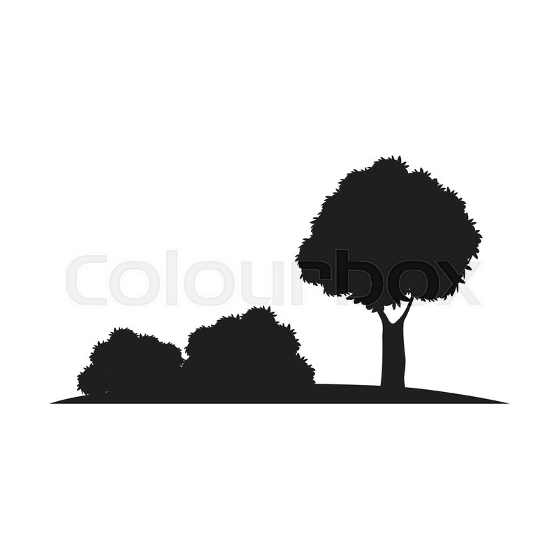 Silhouette Tree Bush Natural Design Stock Vector Colourbox 800x800 Silhouette Tree Bush Natural Design Stock Vector Colourbox
