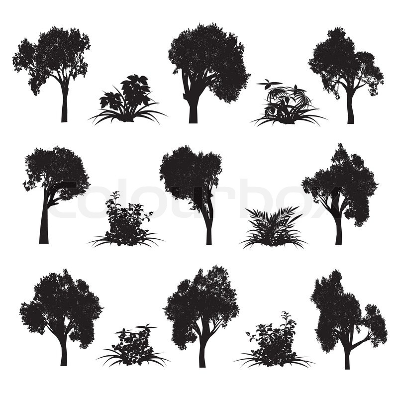 Trees And Bush 800x800 Trees And Bush