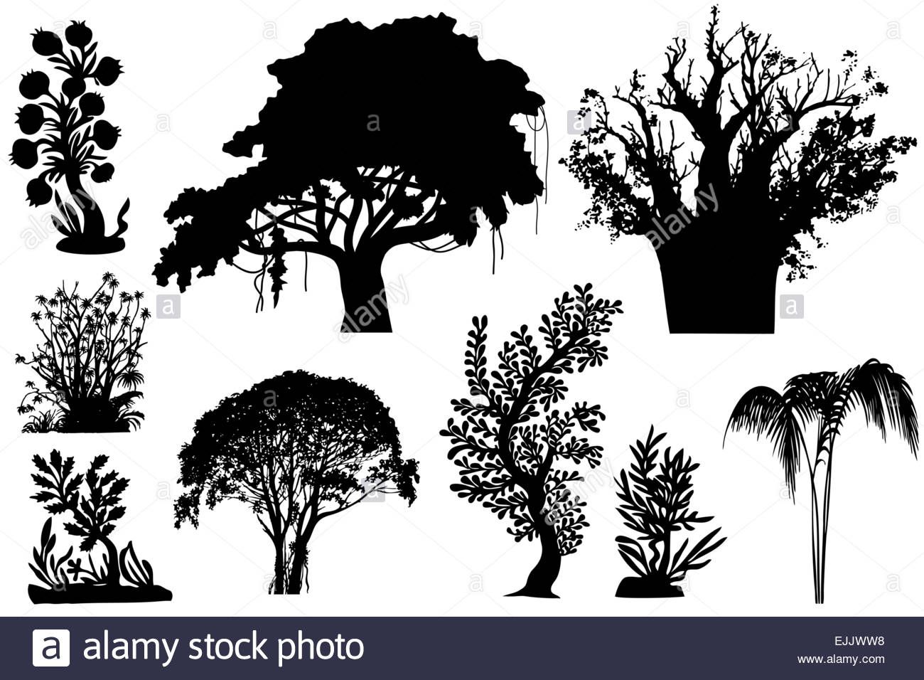 Vector African Trees And Bushes Stock Vector Vbs 1300x956 Vector African Trees And Bushes Stock Vector Vbs