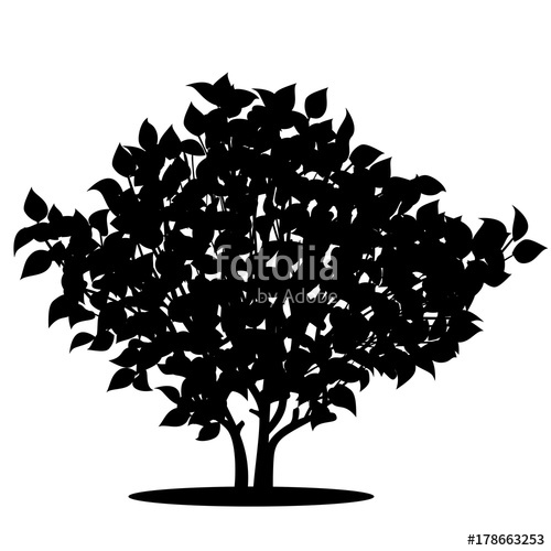 Silhouette Bush With Leaves And Shadow Stock Image And Royalty 500x500 Silhouette Bush With Leaves And Shadow Stock Image And Royalty