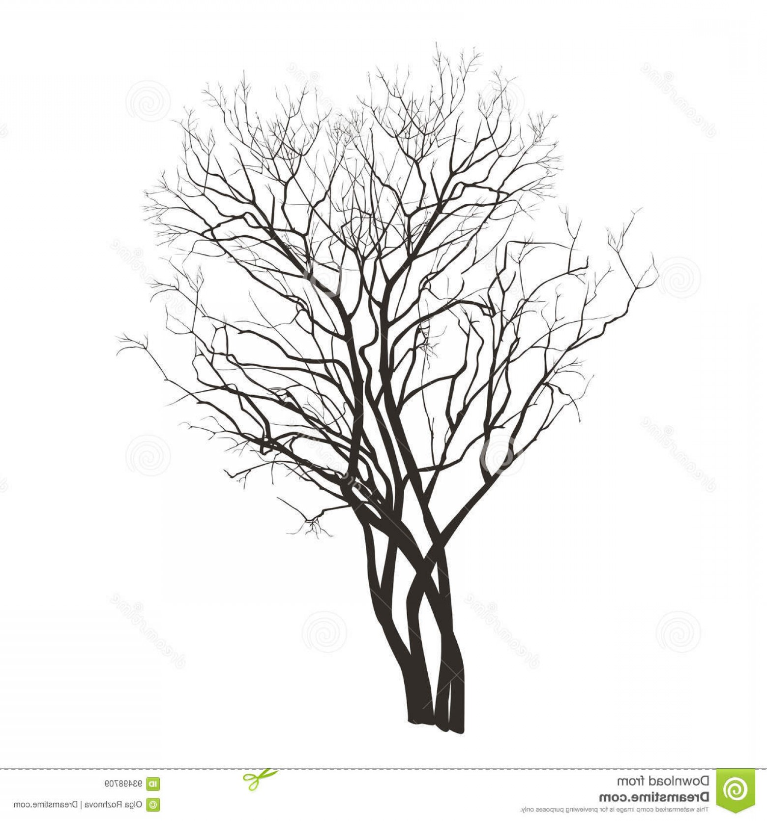 Bush Vector Silhouette Hoodamathrun 1560x1668 Bush Vector Silhouette Hoodamathrun