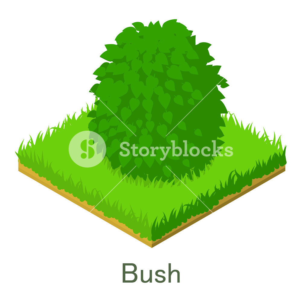 Bush Icon Isometric Illustration Of Bush Vector Icon For Web 1000x1000 Bush Icon Isometric Illustration Of Bush Vector Icon For Web