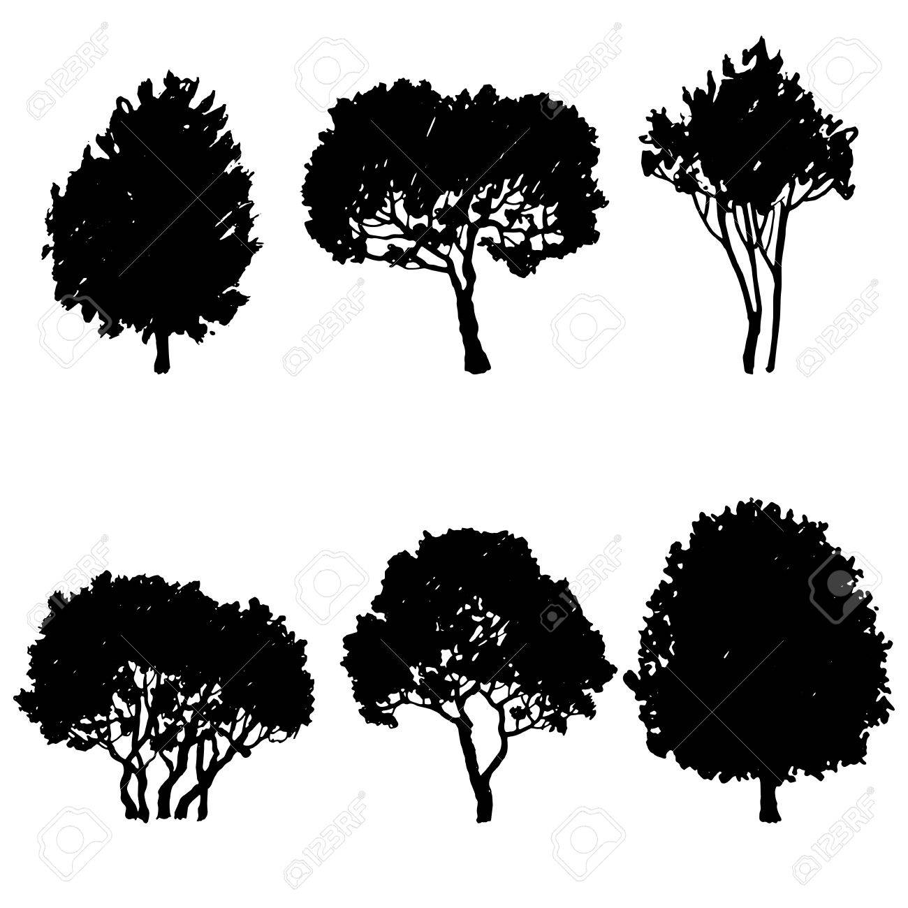 Collection Of 'bush Silhouette Vector' Download More Than 1300x1300 Collection Of 'bush Silhouette Vector' Download More Than
