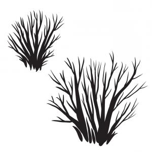 Drawing Of The Bush Vector Hoodamathrun 300x300 Drawing Of The Bush Vector Hoodamathrun