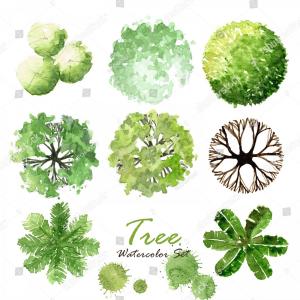 Photostock Vector Set Of Top View Trees And Bush Vector Graphic 300x300 Photostock Vector Set Of Top View Trees And Bush Vector Graphic