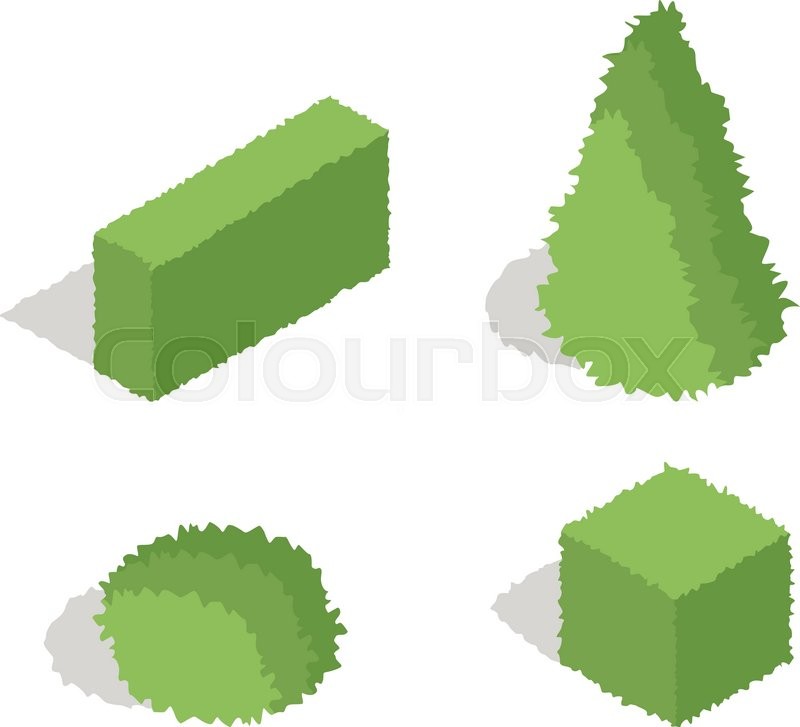 Set Of Four Isometric Bush Stock Vector Colourbox 800x727 Set Of Four Isometric Bush Stock Vector Colourbox