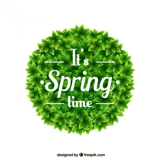 Spring Time On Round Bush Free Vector 626x626 Spring Time On Round Bush Free Vector