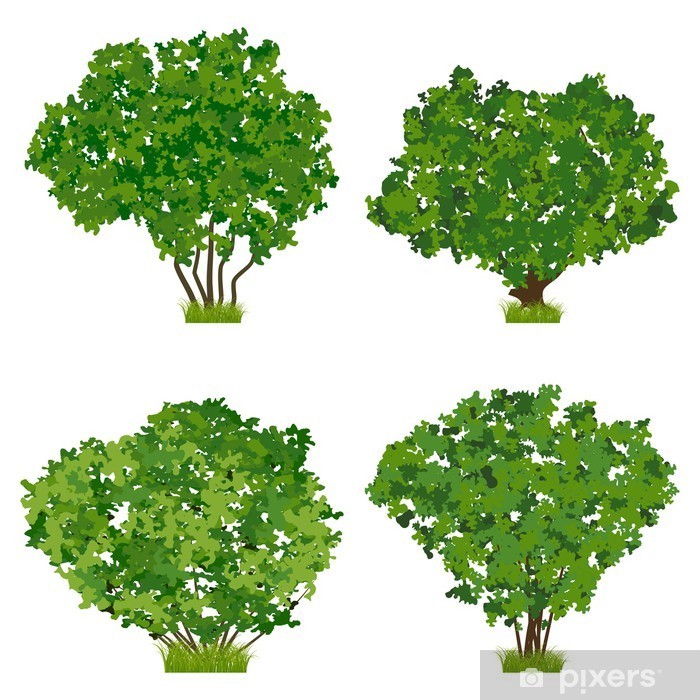 Summer Bush Vector Set Sticker We Live To Change 700x700 Summer Bush Vector Set Sticker We Live To Change