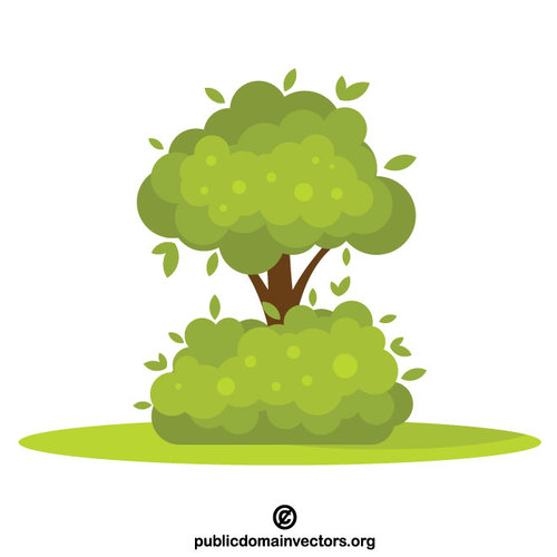 Tree In The Bush 500x500 Tree In The Bush