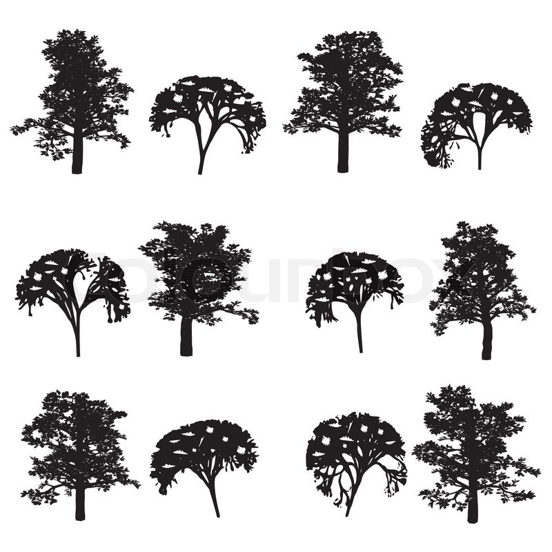 Trees And Bush 800x800 Trees And Bush