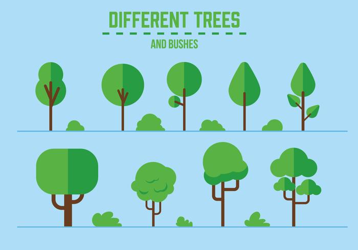 Bush Free Vector Art 700x490 Bush Free Vector Art