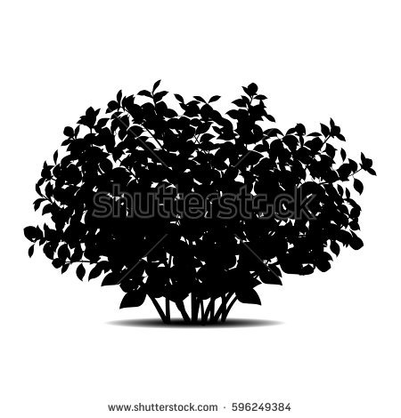 Bush Silhouette Png Images 450x470 Bush Silhouette Png Images
