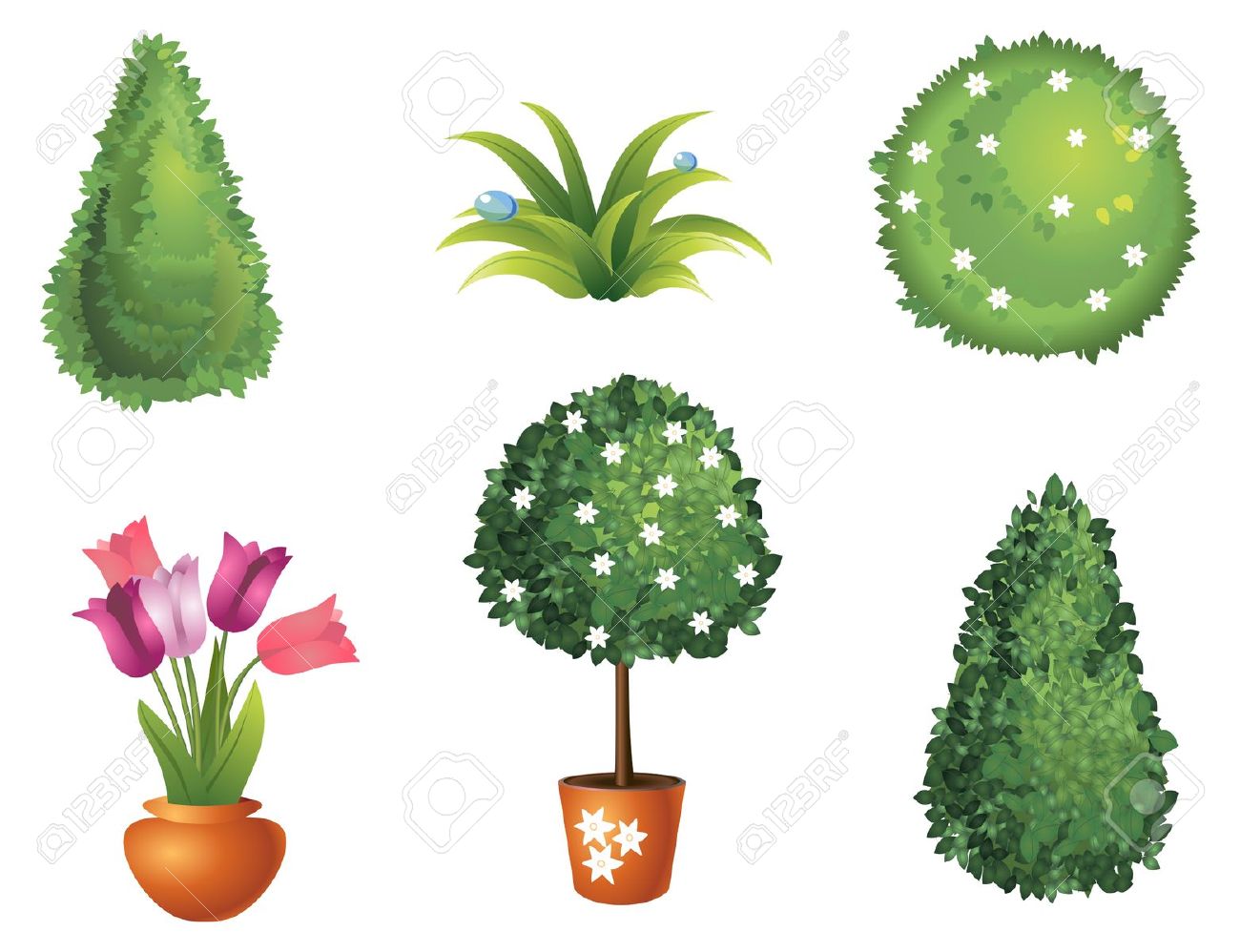 Bush Clipart Vector, Bush Vector Transparent Free For Download 1300x998 Bush Clipart Vector, Bush Vector Transparent Free For Download