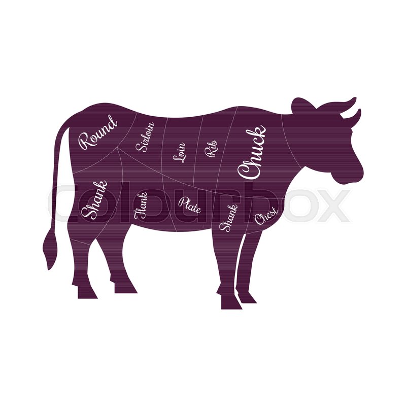 Cow Beef Meat Cuts Butcher Vector Stock Vector Colourbox 800x800 Cow Beef Meat Cuts Butcher Vector Stock Vector Colourbox