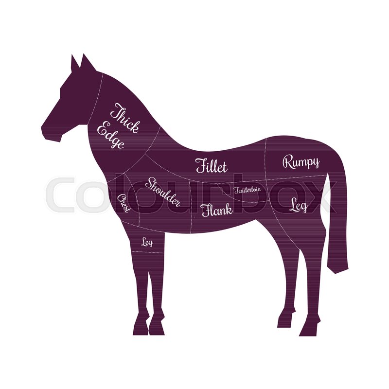 Horse Meat Cuts Butcher Vector Icon Stock Vector Colourbox 800x800 Horse Meat Cuts Butcher Vector Icon Stock Vector Colourbox