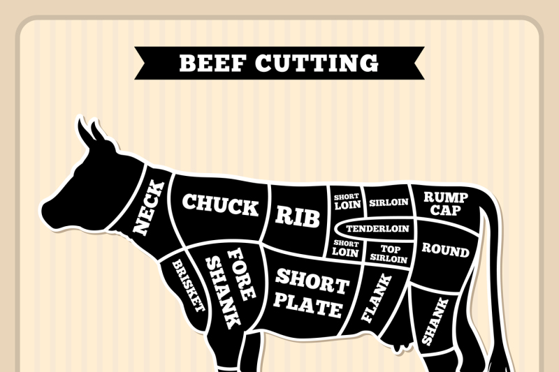 Beef, Cow Cuts Butcher Vector Diagram 800x533 Beef, Cow Cuts Butcher Vector Diagram