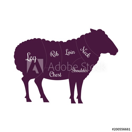 Sheep Mutton Meat Cuts Butcher Vector Icon 500x500 Sheep Mutton Meat Cuts Butcher Vector Icon