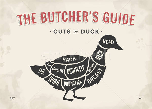 Butcher Stock Vectors, Illustrations And Cliparts Stockfresh 600x432 Butcher Stock Vectors, Illustrations And Cliparts Stockfresh