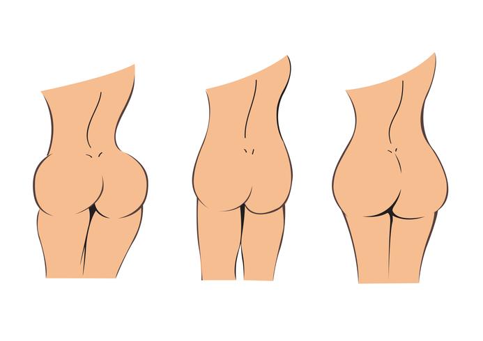 693x490 Bottom Butt Booty Cartoon Vector