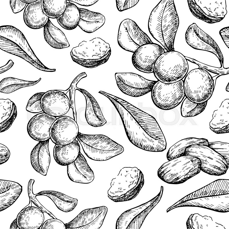 Shea Butter Vector Seamless Pattern Stock Vector Colourbox 800x800 Shea Butter Vector Seamless Pattern Stock Vector Colourbox