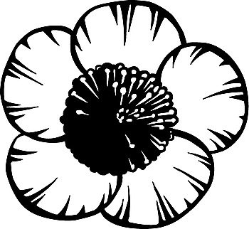 350x322 Buttercup Cheap Royalty Free Subscription, Stock Photos, Vector