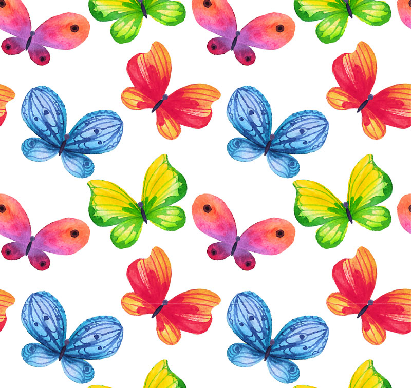 800x756 Color Butterfly Background Vector