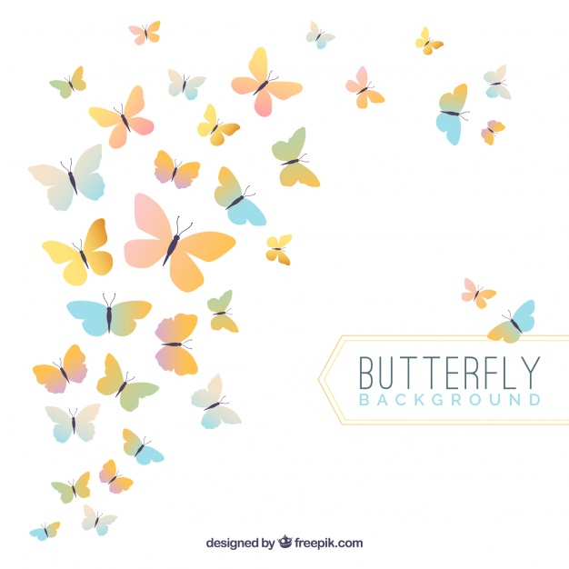 626x626 Elegant Butterfly Background Vector Free Download