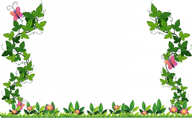 626x384 Border Design With Vine And Butterflies Vector Free Download