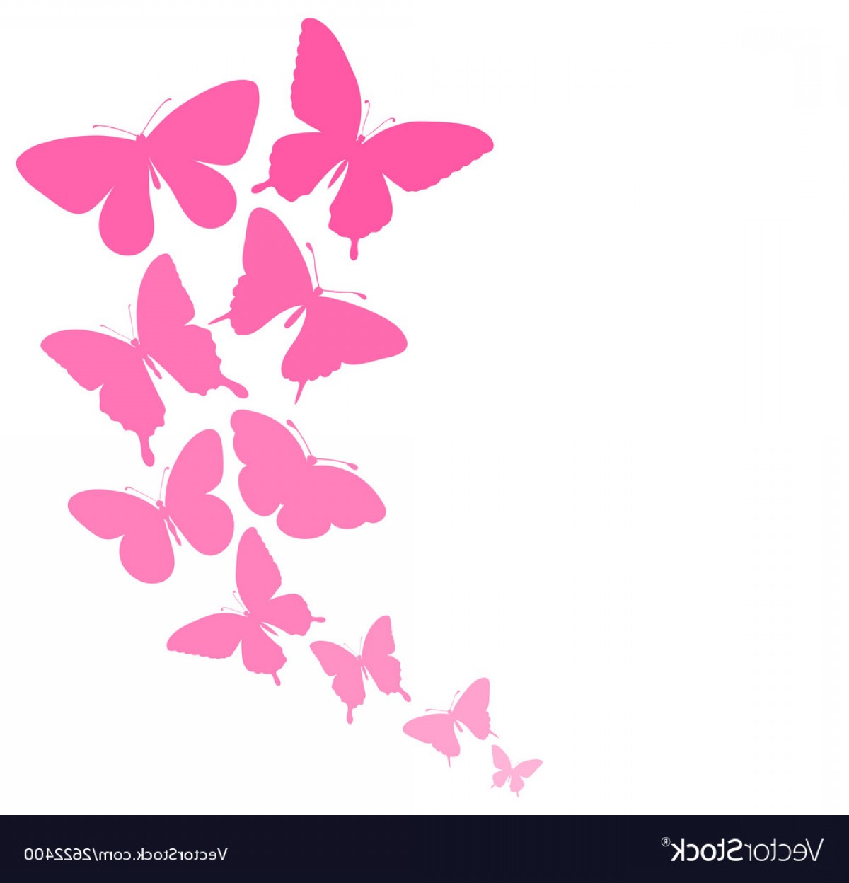 Download Butterfly Border Vector at Vectorified.com | Collection of ...