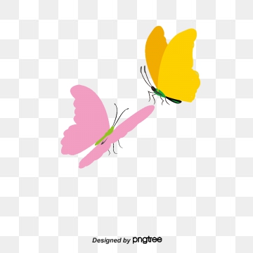 360x360 Butterfly Vector, Graphic Resources For Free Download