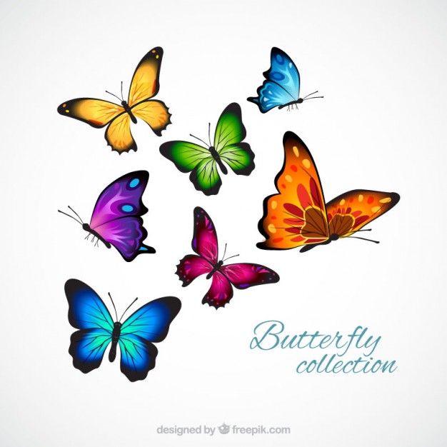626x626 Butterfly Vectors, Photos And Free Download