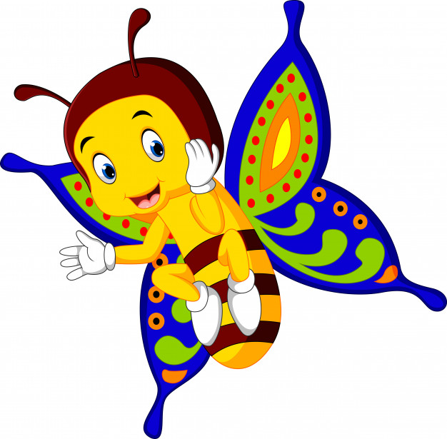 626x615 Cute Butterfly Cartoon Vector Premium Download
