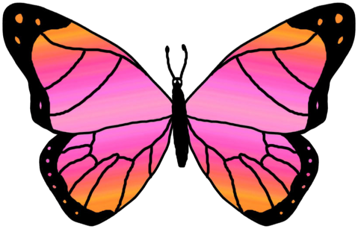 700x449 Butterflies Cartoon Butterfly Transparent Image Vector, Clipart
