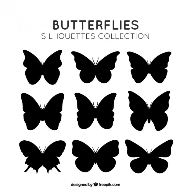 626x626 Butterfly Vectors, Photos And Free Download