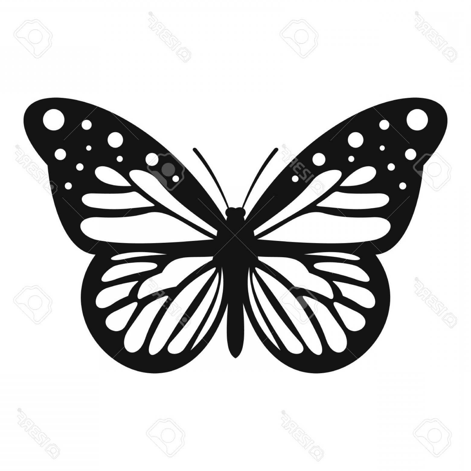 1560x1560 Photostock Vector Big Butterfly Icon Simple Illustration Of Big