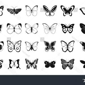 300x300 Tropical Butterfly Icon Simple Style Vector Handandbeak