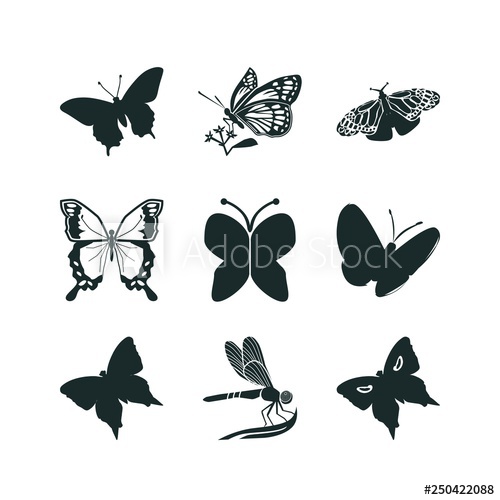 500x500 Butterfly Icon Set Dragonfly Icon And Butterfly Icon Vector Icons
