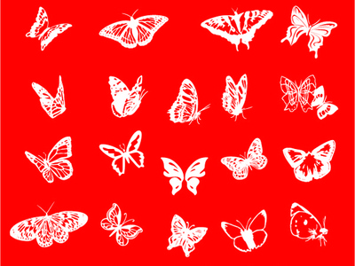 400x300 Fully Vector Butterflies Icon