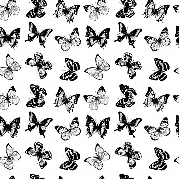 Butterfly Pattern Vector At Vectorified.com 