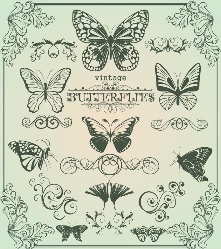 750x845 Butterfly Pattern