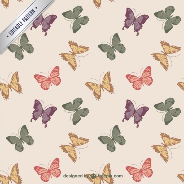 626x626 Butterfly Pattern Vector Free Download