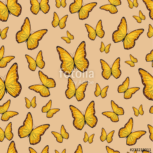 500x500 Vector Butterfly Pattern Abstract Seamless Pattern Stock Image